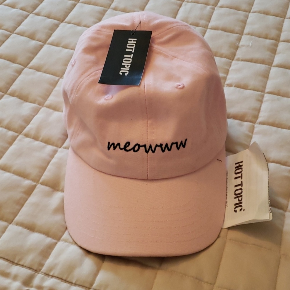 NWT Hot Topic pink baseball cap